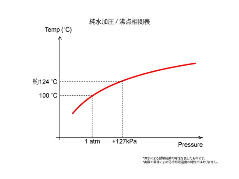 Prova Спортивная крышка радиатора D 10000SP0081 - Фото 3