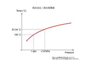 Prova Спортивная крышка радиатора D 10000SP0081 - thumbnail 3