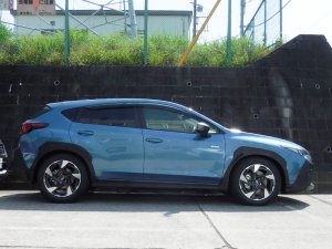 Prova Спортивные пружины GUD 31260TH2090