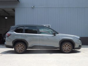 Prova Спортивные пружины SL5 31360TH2000 - thumbnail 3