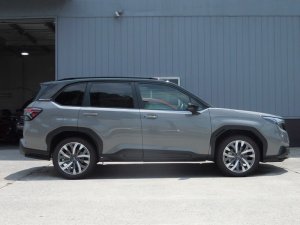 Prova Спортивные пружины SLG 31360TH2020 - thumbnail 3