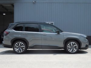 Prova Спортивные пружины SLG 31360TH2020