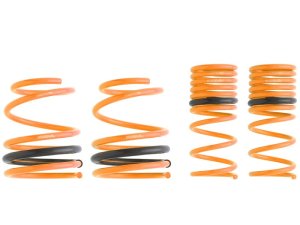 Prova Спортивные пружины VA 31600TH1000