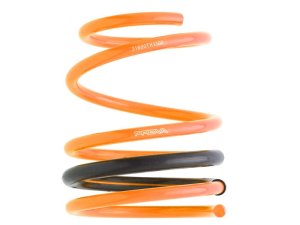 Prova Спортивные пружины VA 31600TH1000 - thumbnail 3