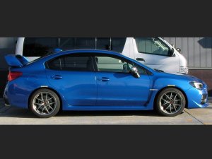 Prova Спортивные пружины VA 31600TH1000