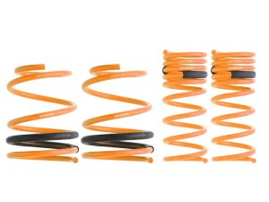 Prova Спортивные пружины VM GT 31600TH2040