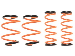 Prova Спортивные пружины VBH STI 31710TH1010