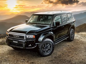 RAYS RS D108 18x8.5J Глянцевый черный 38318855216BXZ