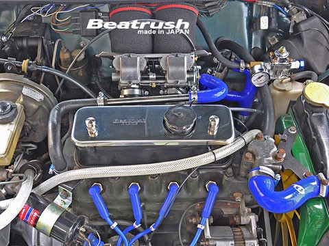 Laile Декоративная панель двигателя C140032FP - Фото 3