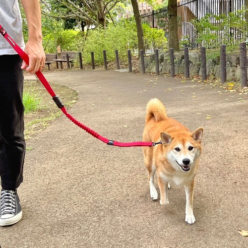 Subaru Easy Dog Zero Shock 120 см FHST22005801 - Фото 9