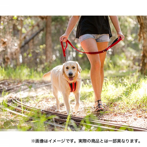 Subaru Easy Dog Zero Shock 120 см FHST22005801 - Фото 8