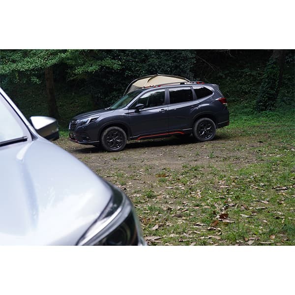 Subaru Боковой тент для автомобиля P103017 - Фото 10