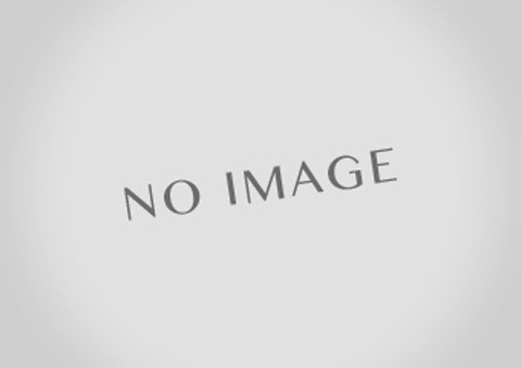 Laile Верхняя опора стойки (пилоболл), эксцентрикового типа, передняя S138046TM-FPE