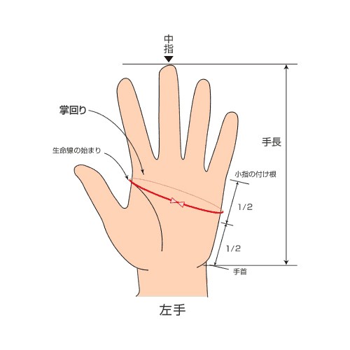 STI Водительские перчатки (длинные пальцы) STSG20100270 - Фото 7