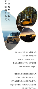 DAMD Angie damd-products-honda-angie - thumbnail 4