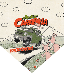damd-products-suzuki-hustler_carabina