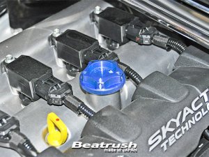Laile Крышка маслозаливной горловины: однонажимного типа S1401AM-Z1 - thumbnail 3